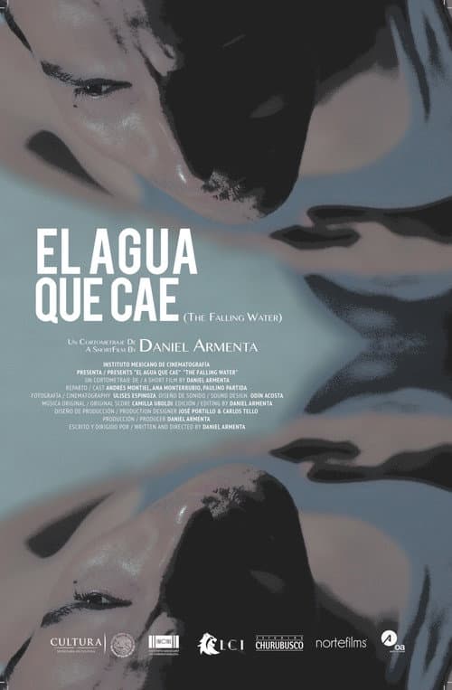 Постер: El agua que cae