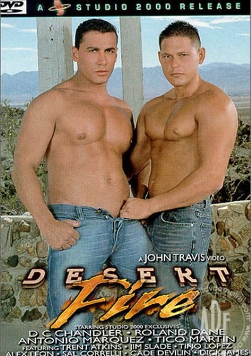 Постер: Desert Fire