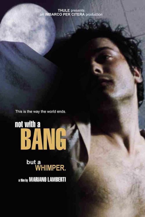 Постер: Non con un bang