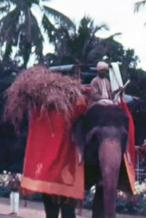Постер: Mysore