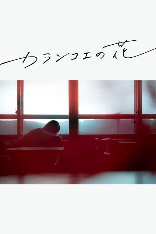 Постер: カランコエの花