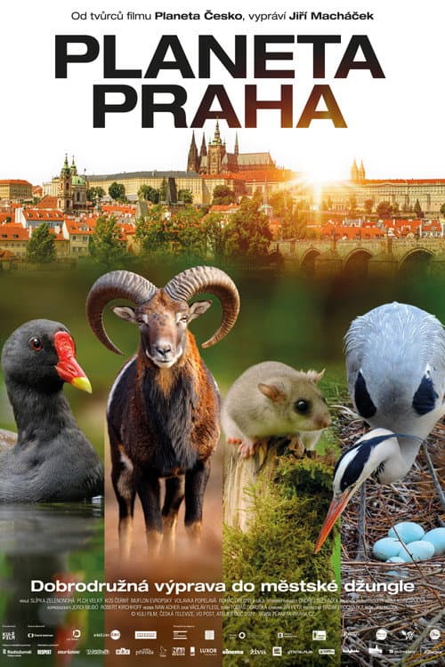 Постер: Planeta Praha