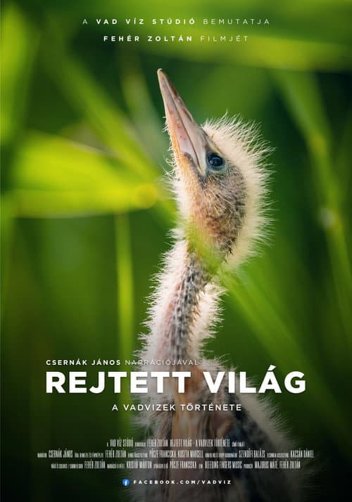 Постер: Rejtett világ - A vadvizek története