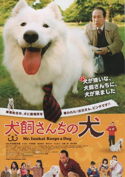 Постер: 犬飼さんちの犬