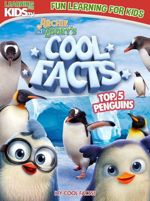 Постер: Archie And Zooey’s Cool Facts: Top 5 Penguins