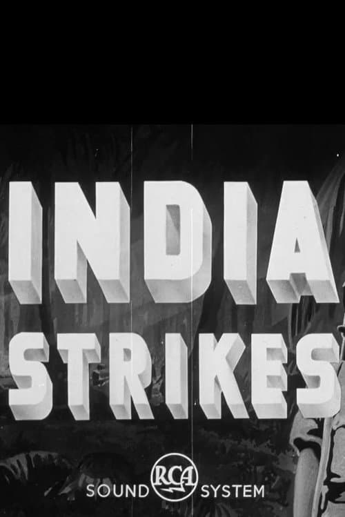 Постер: India Strikes