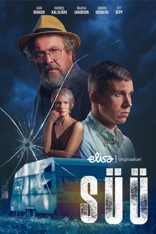 Постер: Süü