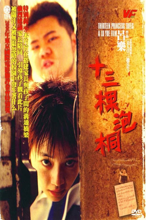 Постер: 十三棵泡桐