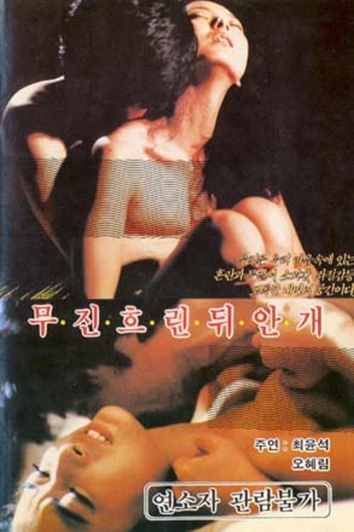 Постер: 무진 흐린뒤 안개