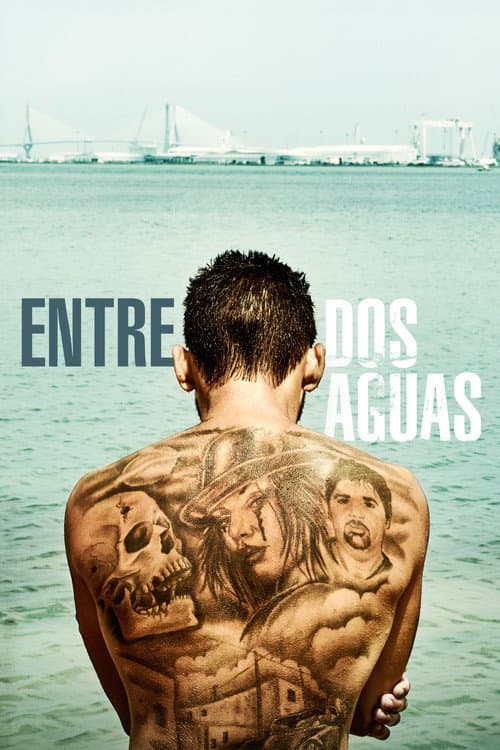Постер: Entre dos aguas