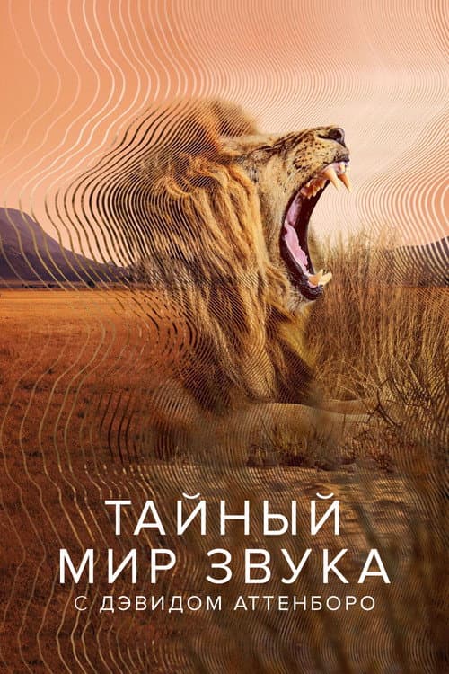 Постер: Тайный мир звука с Дэвидом Аттенборо