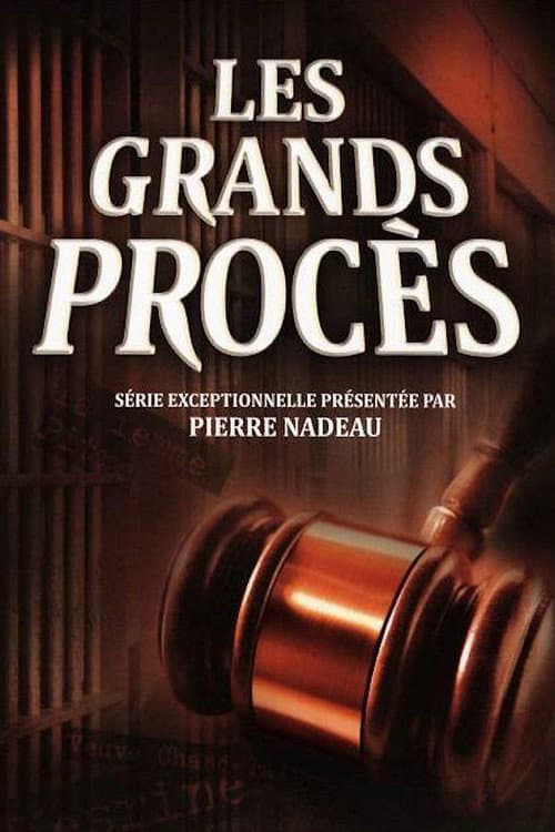Постер: Les grands procès
