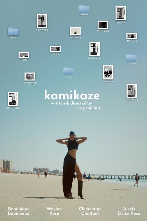 Постер: kamikaze
