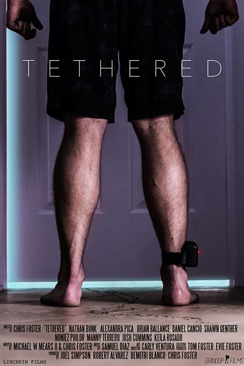 Постер: Tethered