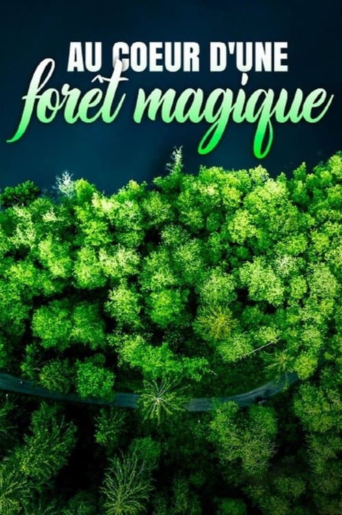 Постер: Au cœur d'une forêt magique