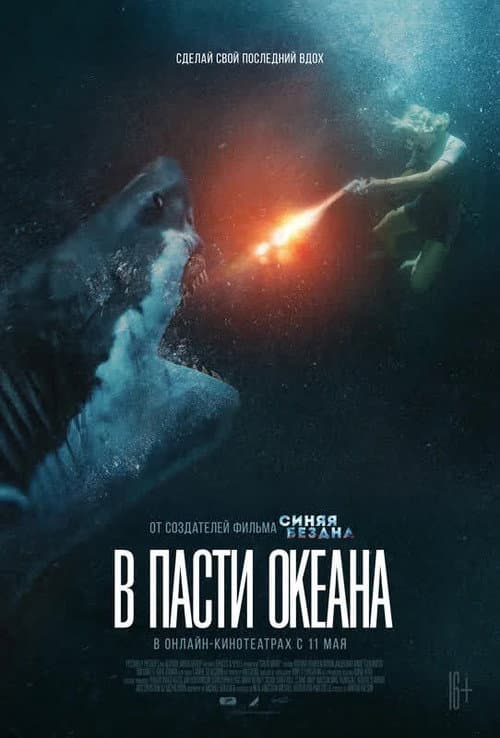 Кадр 5