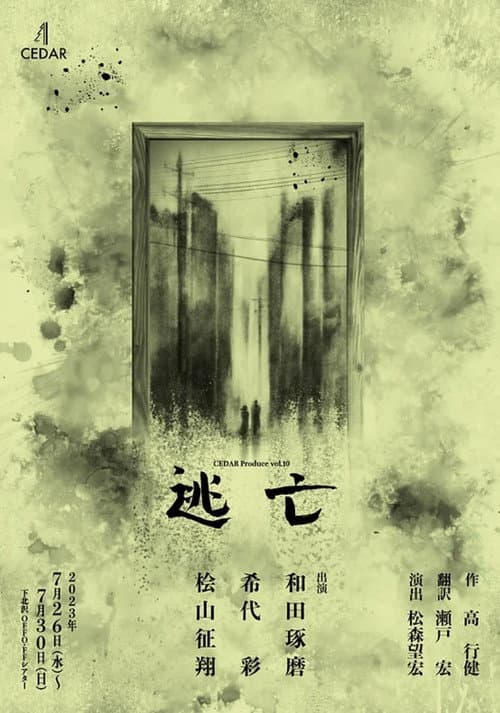 Постер: 逃亡