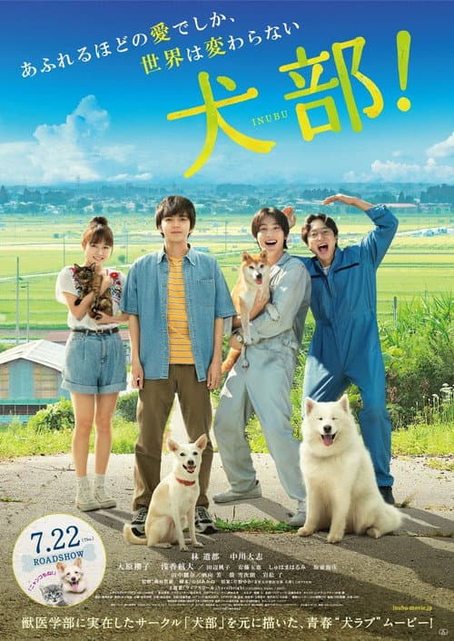 Постер: 犬部!