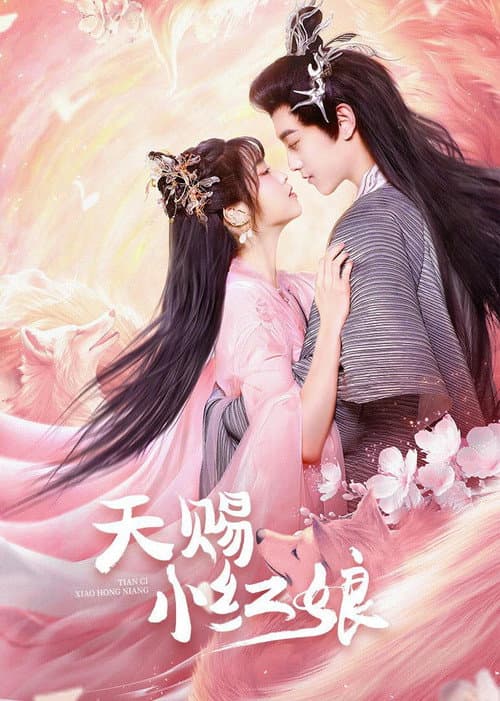 Постер: 天赐小红娘