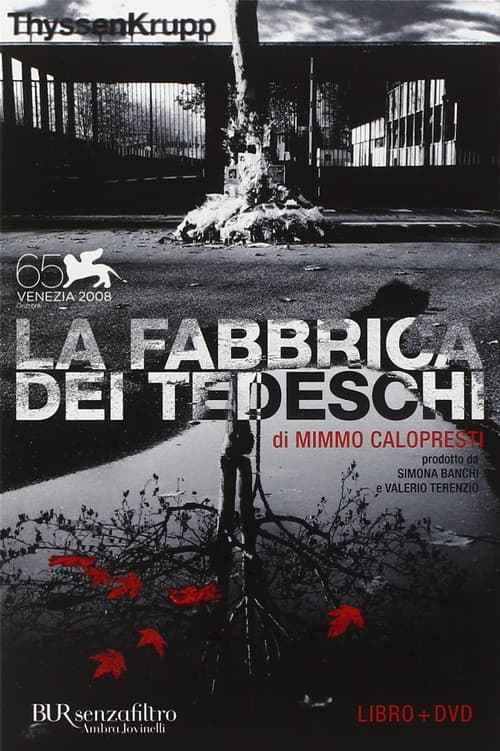 Постер: La fabbrica dei tedeschi
