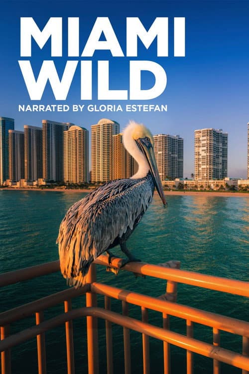 Постер: Miami Wild