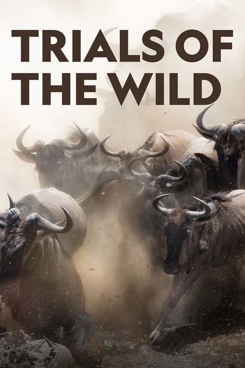 Постер: Trials of the Wild