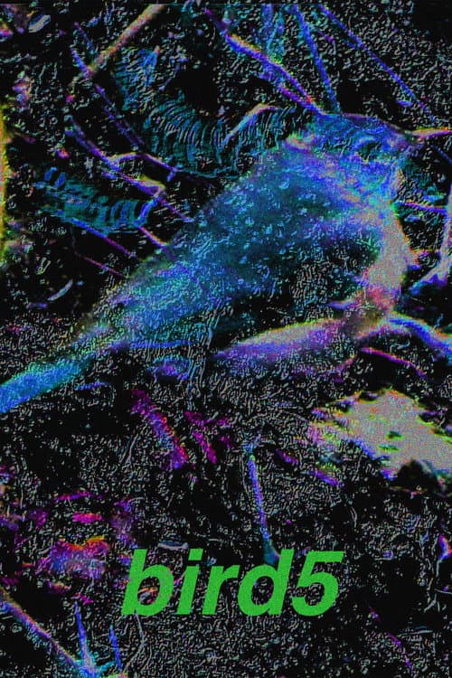 Постер: bird5.mp4