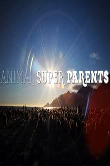 Постер: Animal Super Parents
