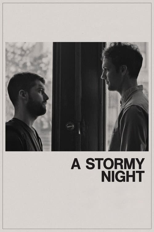 Постер: A Stormy Night