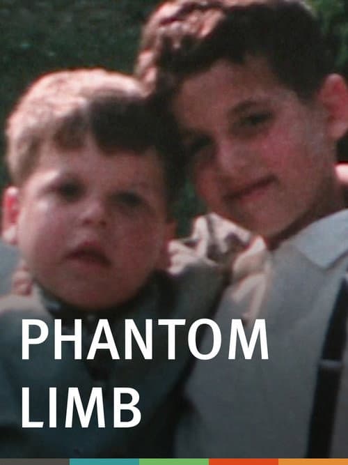 Постер: Phantom Limb