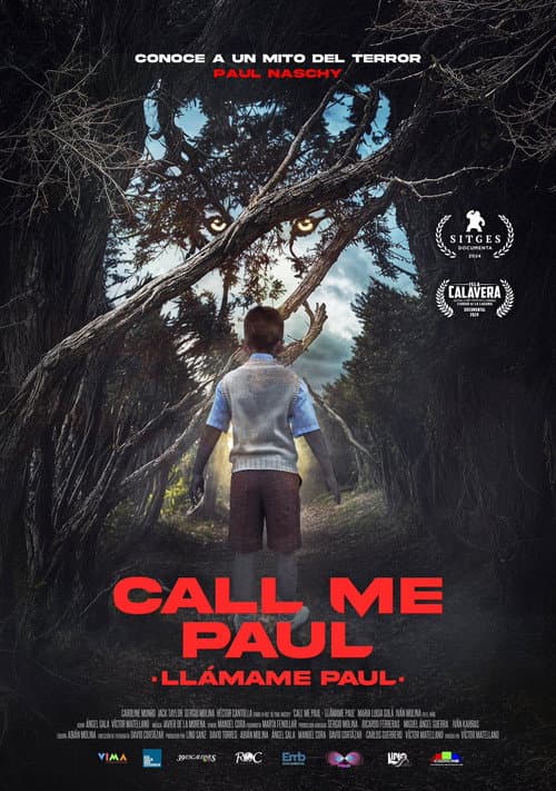 Постер: Llámame Paul