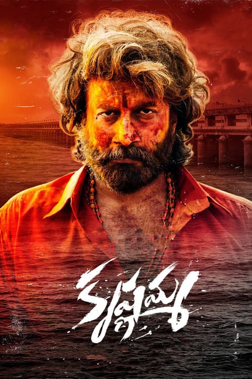 Постер: కృష్ణమ్మ