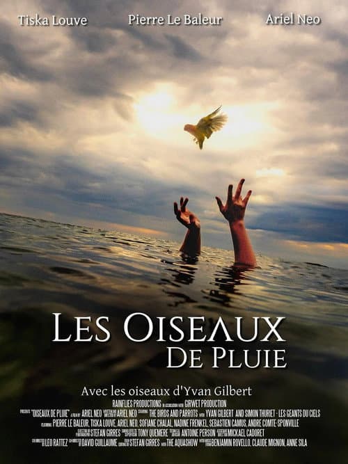 Постер: Les Oiseaux de pluie