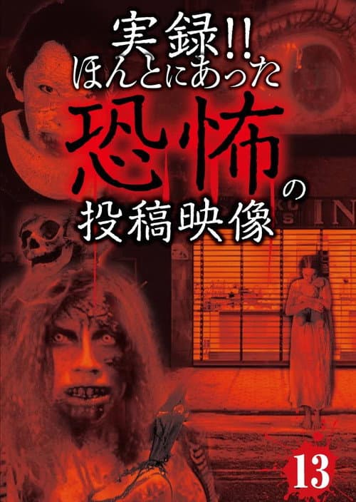 Постер: 実録!!ほんとにあった恐怖の投稿映像 13