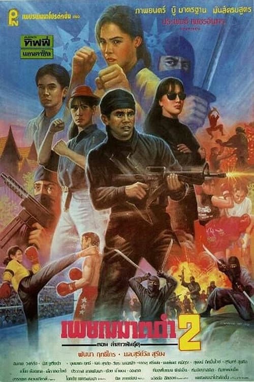 Постер: เพชฌฆาตดำ 2 ตอนล่าสาวพันธุ์ดุ