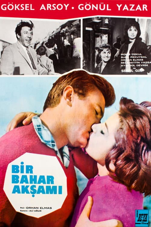 Постер: Bir Bahar Akşamı