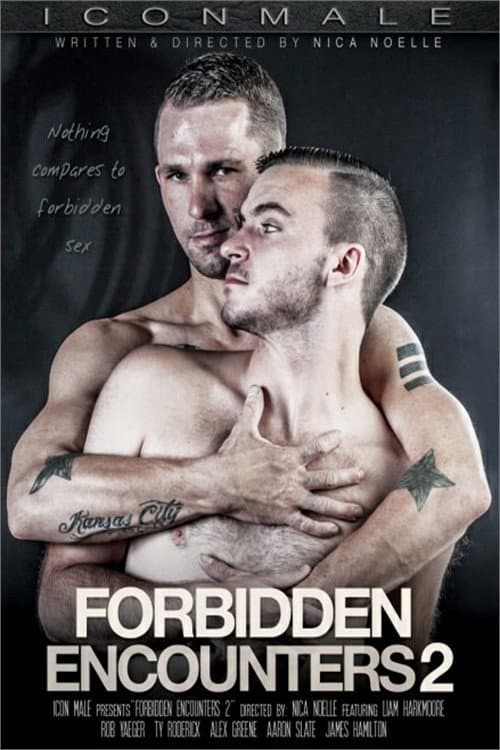 Постер: Forbidden Encounters 2