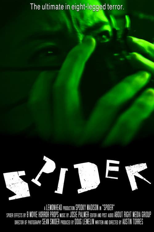 Постер: Spider