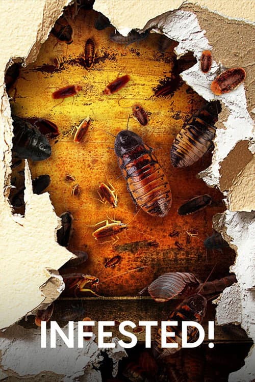 Постер: Infested