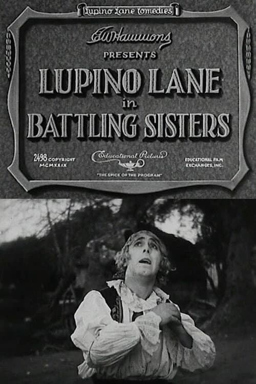Постер: Battling Sisters