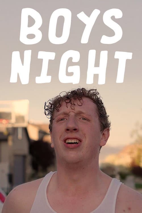 Постер: Boys Night