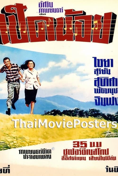 Постер: เป็ดน้อย