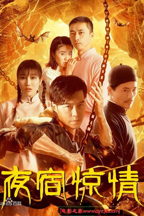 Постер: 夜宿惊情