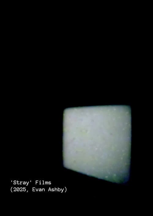 Постер: 'Stray' Films
