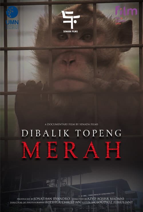 Постер: Di Balik Topeng Merah