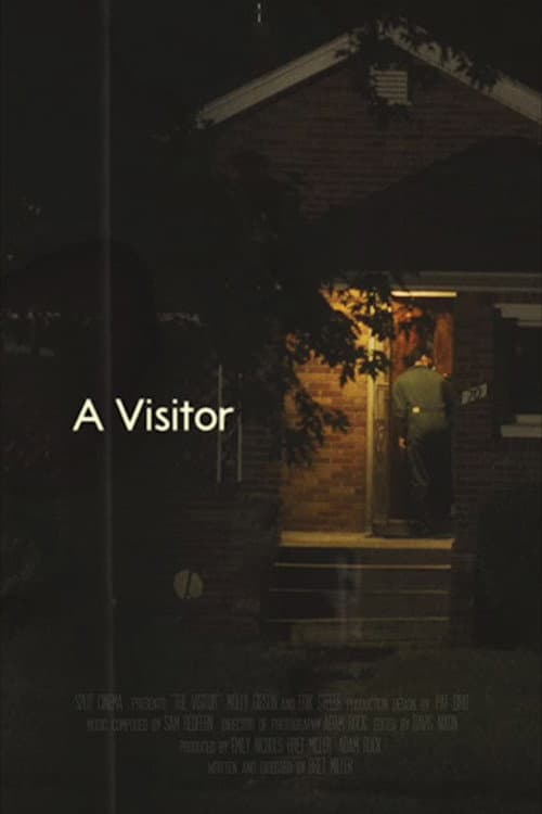 Постер: A Visitor