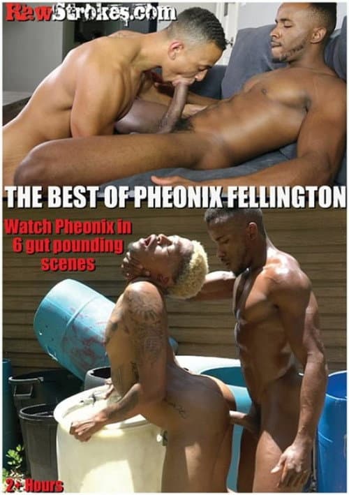 Постер: The Best of Pheonix Fellington