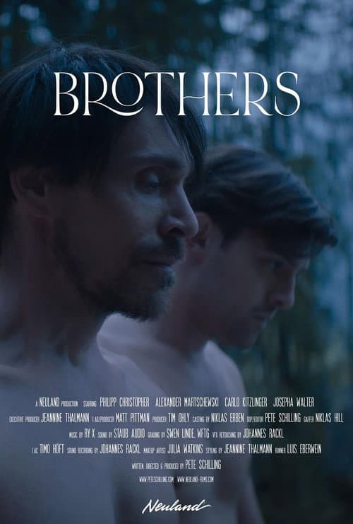Постер: Brothers