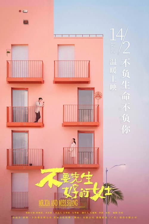 Постер: 不要先生与好的女士