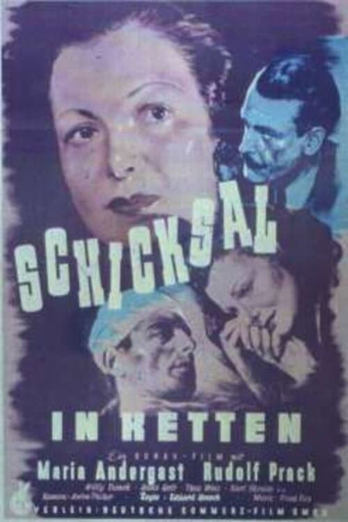 Постер: Der weite Weg